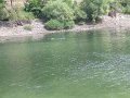 IMG_4151