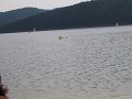 IMG_4154