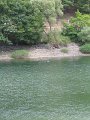IMG_4155