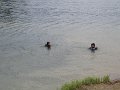 IMG_4156