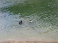 IMG_4157