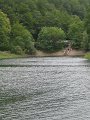 IMG_4160