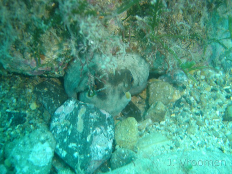 DSC09174.JPG