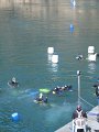 IMG_3971