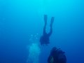 DSC01655