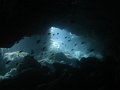 DSC01509
