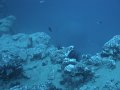 DSC01599