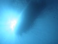 DSC01687