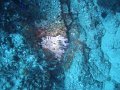 DSC01829