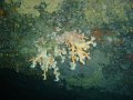 DSC02021