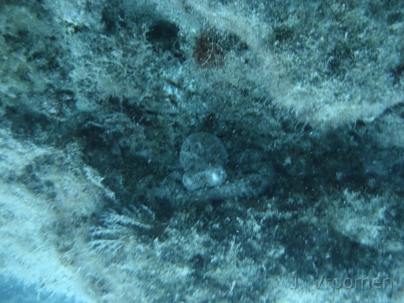 DSC01570.JPG