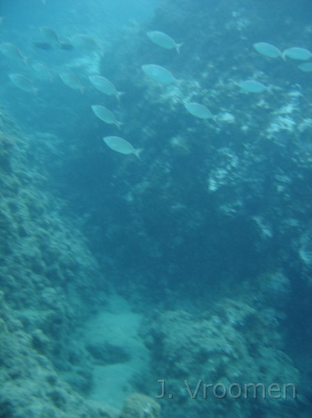 DSC01459.JPG