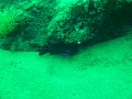 DSC01558