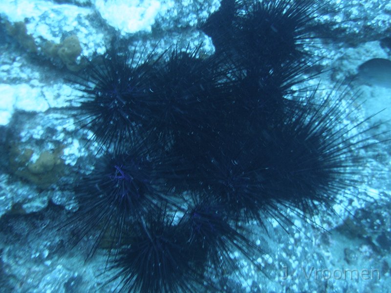 DSC01473.JPG