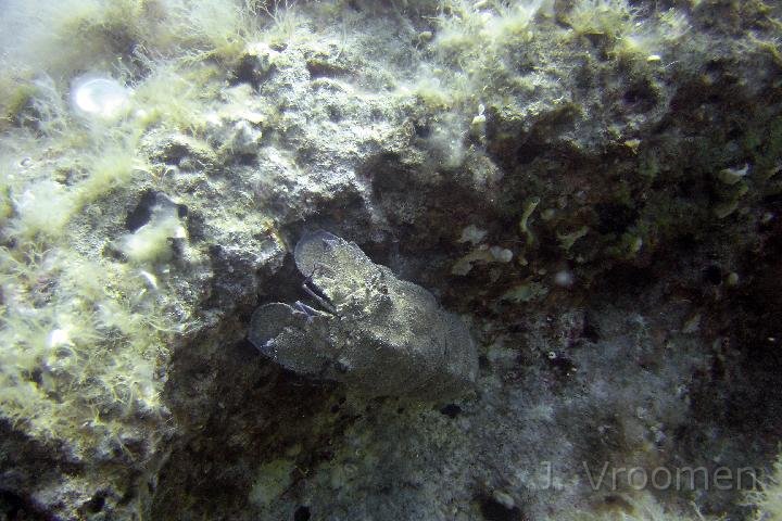 DSC00832.JPG