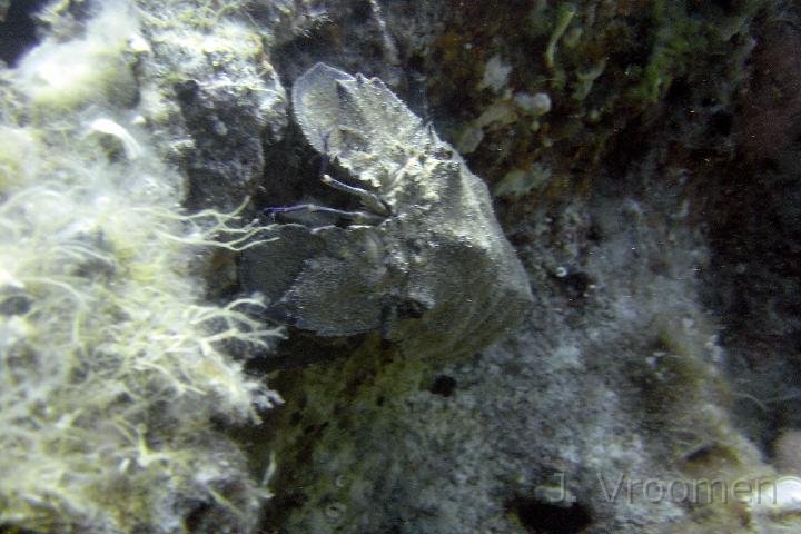 DSC00833.JPG