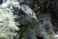 DSC00833