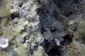 DSC00834
