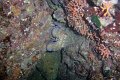 DSC00900