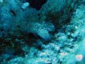 IMG_4775