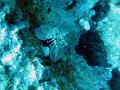 IMG_4779