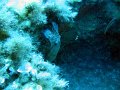 IMG_4951