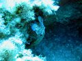 IMG_4952