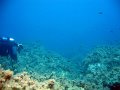 IMG_4755