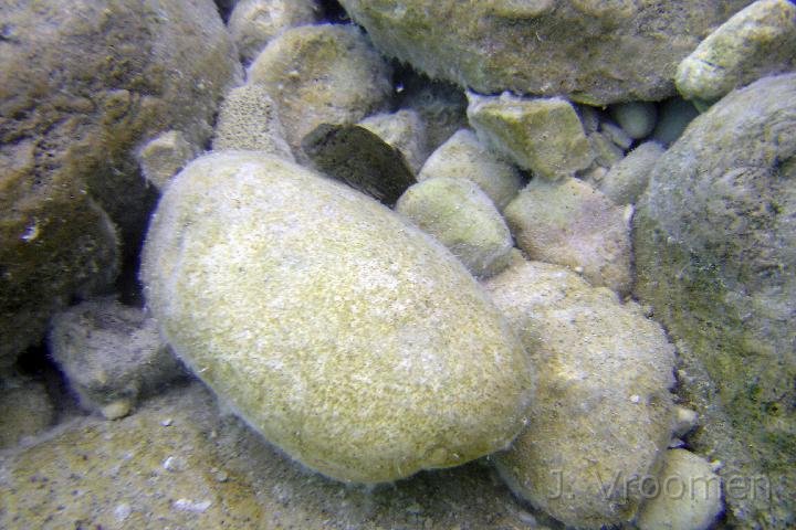 DSC00872.JPG
