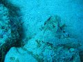 IMG_4831