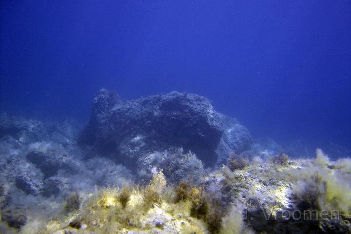 DSC00863.JPG