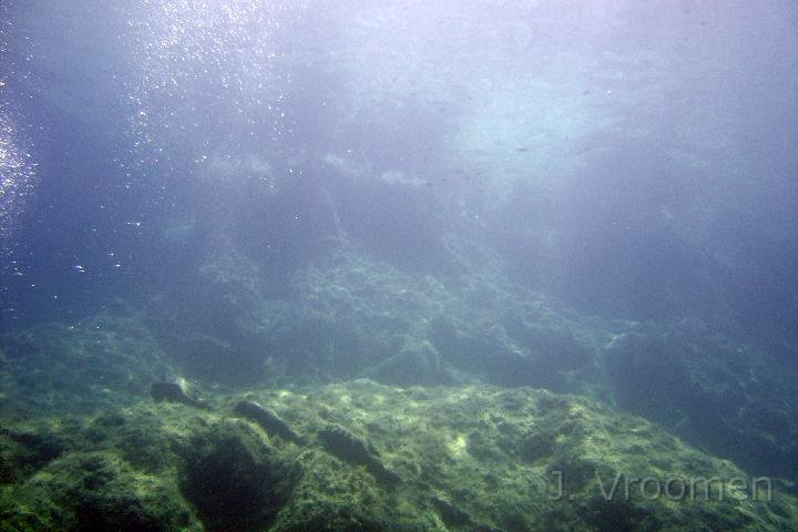 DSC00896.JPG
