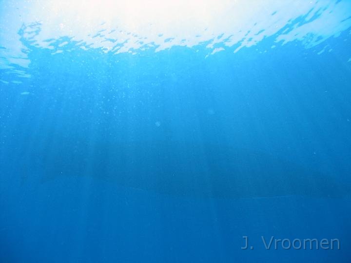 IMG_4568.JPG