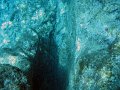 IMG_4556