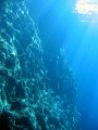 IMG_4557