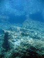 IMG_4576