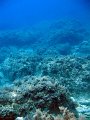 IMG_4757