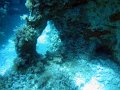 IMG_4972