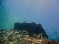IMG_4985