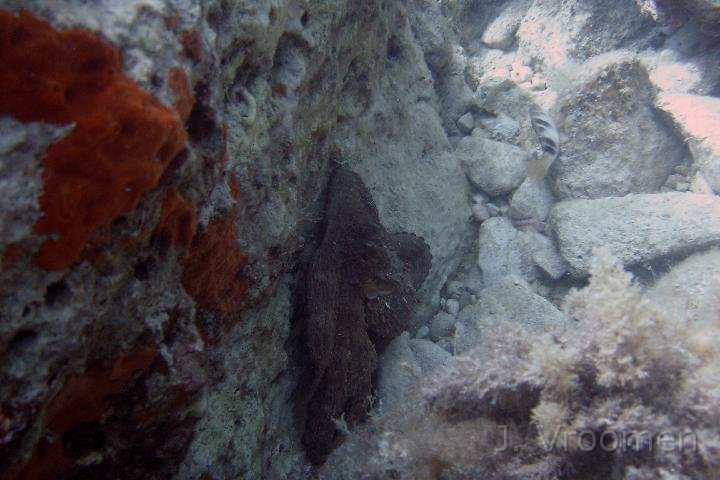DSC00826.JPG