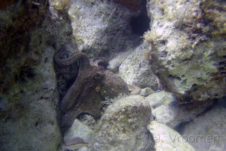 DSC00828.JPG