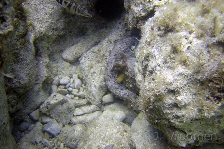 DSC00830.JPG