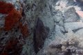 DSC00826