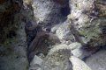 DSC00828