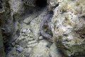 DSC00830