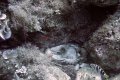 DSC00893