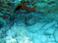 IMG_4749
