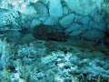 IMG_4750