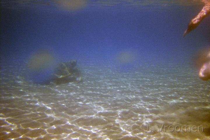 DSC00920.JPG