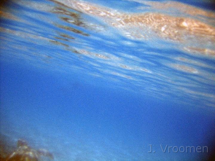 IMG_4940.JPG